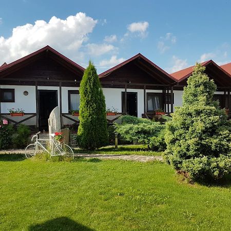 Pensiunea Valea Argesului Albestii Paminteni Esterno foto