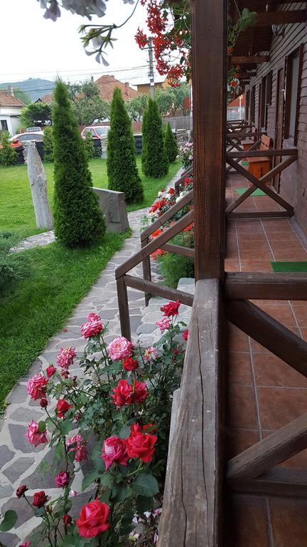 Pensiunea Valea Argesului Albestii Paminteni Esterno foto