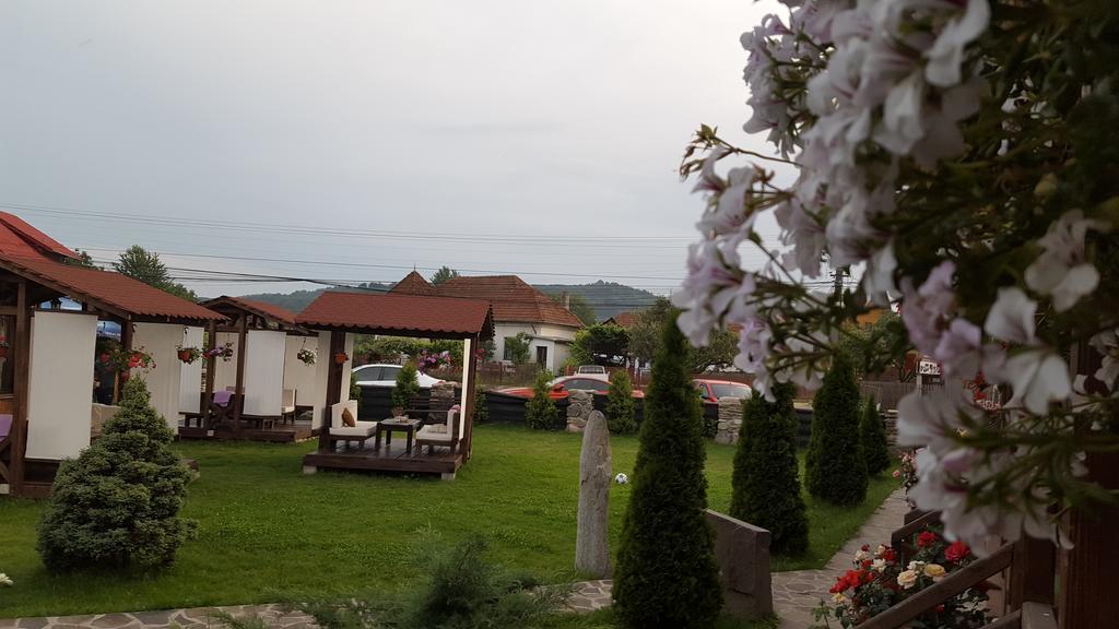 Pensiunea Valea Argesului Albestii Paminteni Esterno foto