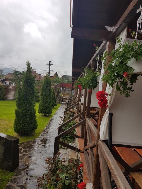 Pensiunea Valea Argesului Albestii Paminteni Esterno foto