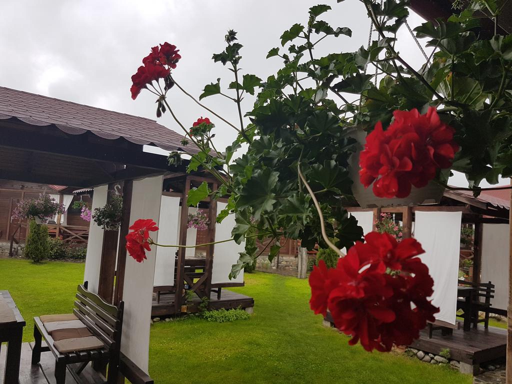 Pensiunea Valea Argesului Albestii Paminteni Esterno foto
