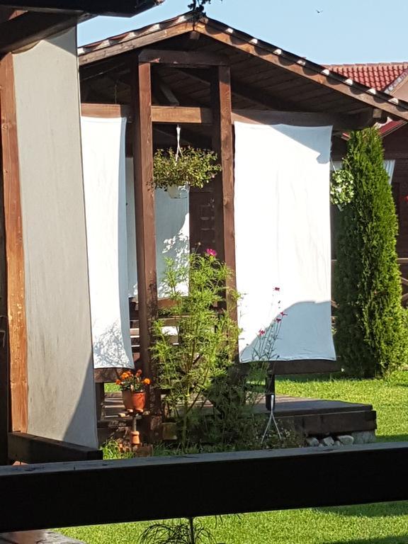 Pensiunea Valea Argesului Albestii Paminteni Esterno foto