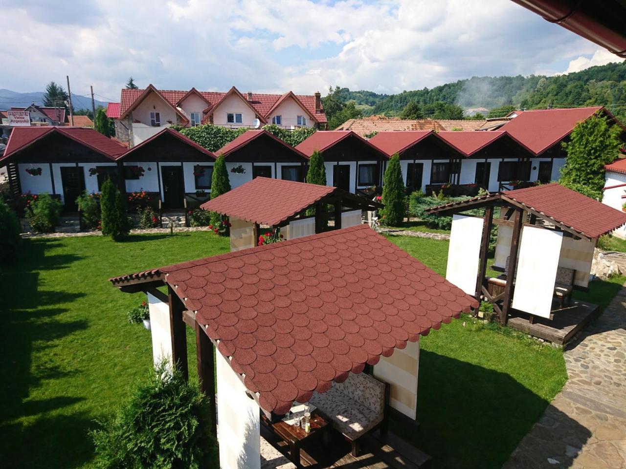 Pensiunea Valea Argesului Albestii Paminteni Esterno foto