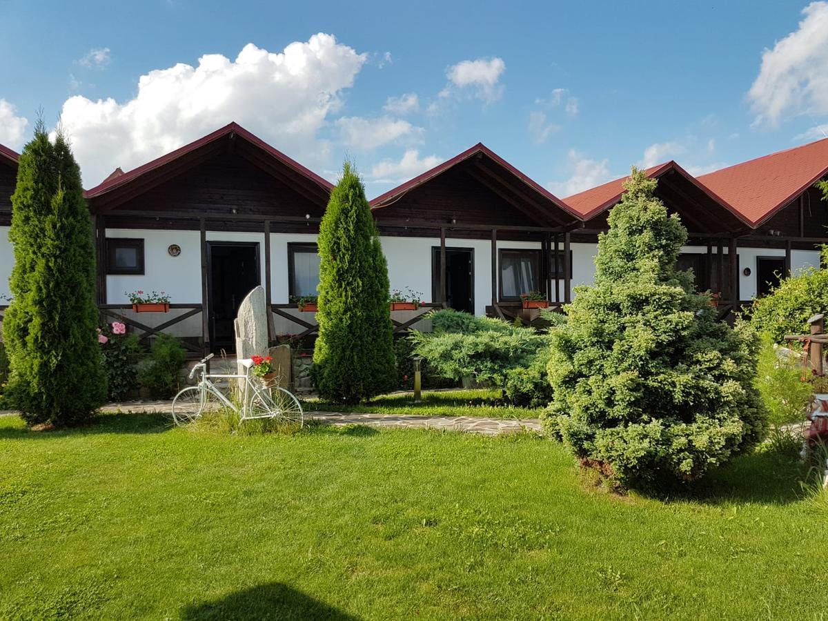 Pensiunea Valea Argesului Albestii Paminteni Esterno foto