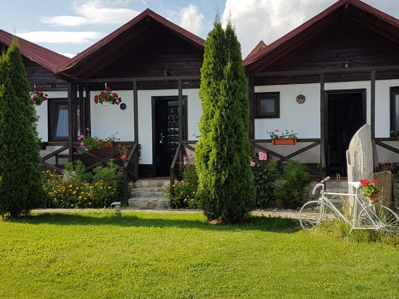 Pensiunea Valea Argesului Albestii Paminteni Esterno foto