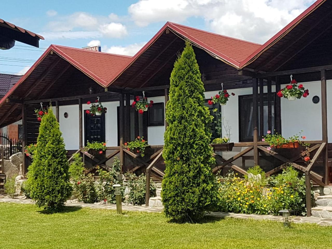 Pensiunea Valea Argesului Albestii Paminteni Esterno foto